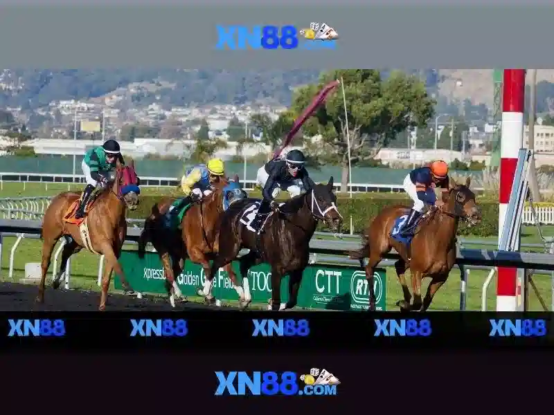XN88 App