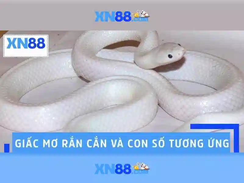 Ưu Điểm Nổi Bật