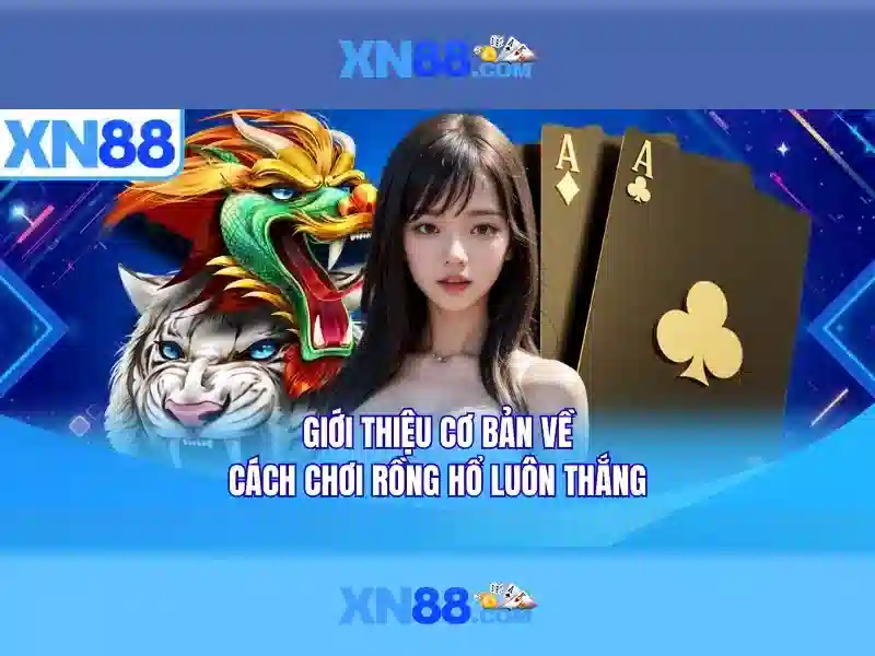 Khuyến Mãi XN88