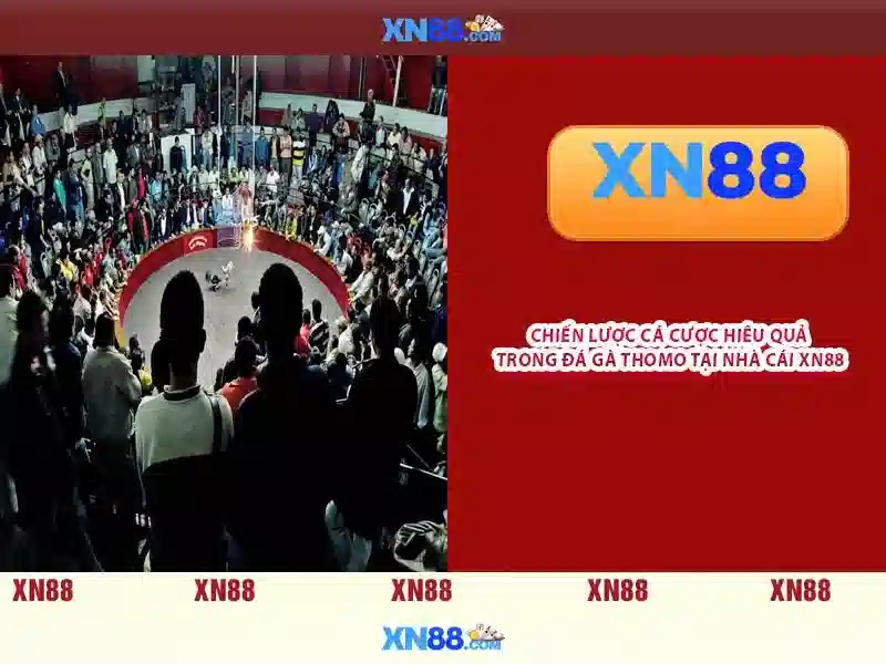 Hướng Dẫn Sử Dụng Link Vào XN88