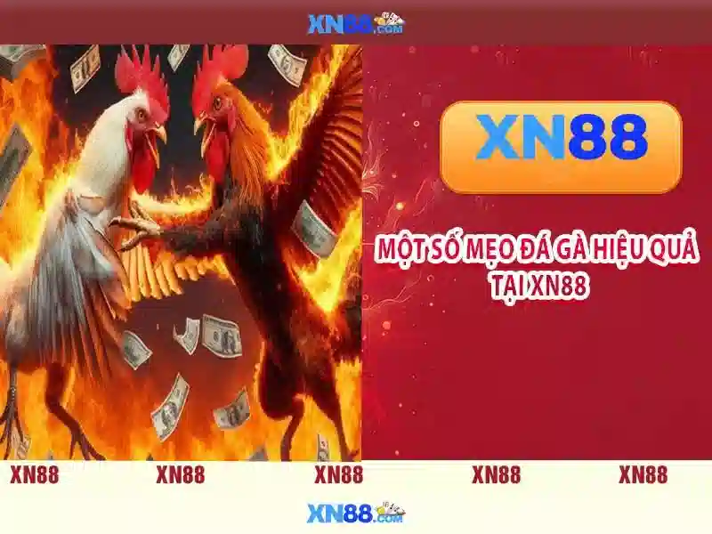Tải app XN88 cho Slot