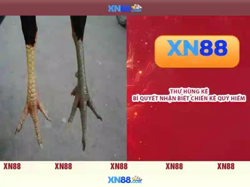 Ưu điểm chơi Slot trên XN88 app