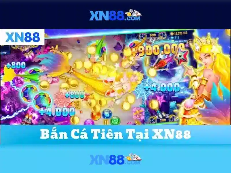 app xn88