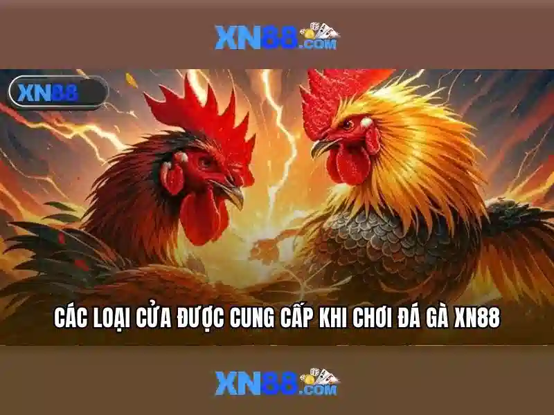 Điều Khoản Và Điều Kiện XN88