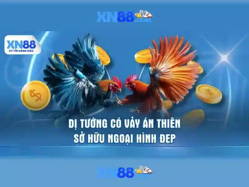 Miễn Trừ Trách Nhiệm XN88 – Hướng Dẫn Chi Tiết Cho Người Chơi Slot