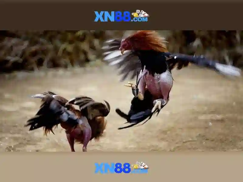 Game Bài 3D