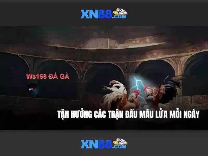 Ưu điểm XN88 Bshrf