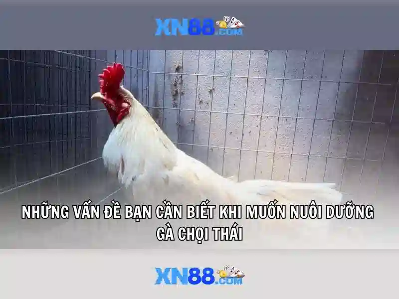 XN88 - Trải Nghiệm Cược Slot Thú Vị Với Ưu Đãi xn88 Gaming 2026