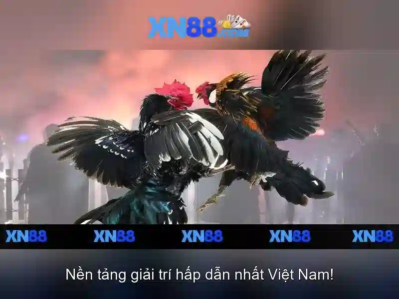 Trải Nghiệm Slot Đỉnh Cao Với XN88 Bshrf Không Bị Chặn