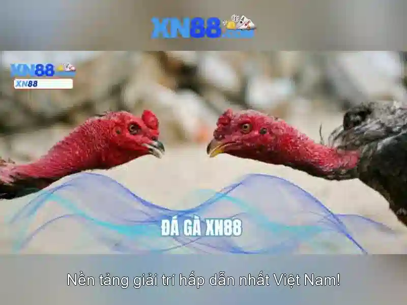 XN88 App Com - Trải Nghiệm Slot Trực Tuyến