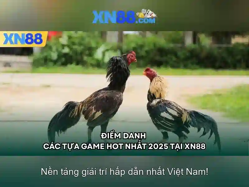 Ưu Điểm Nổi Bật Của XN88