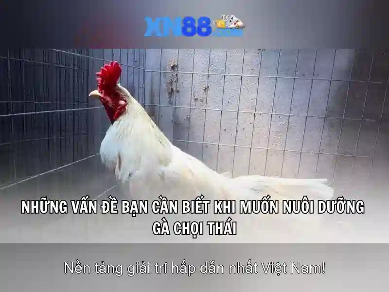 Ưu điểm nổi bật
