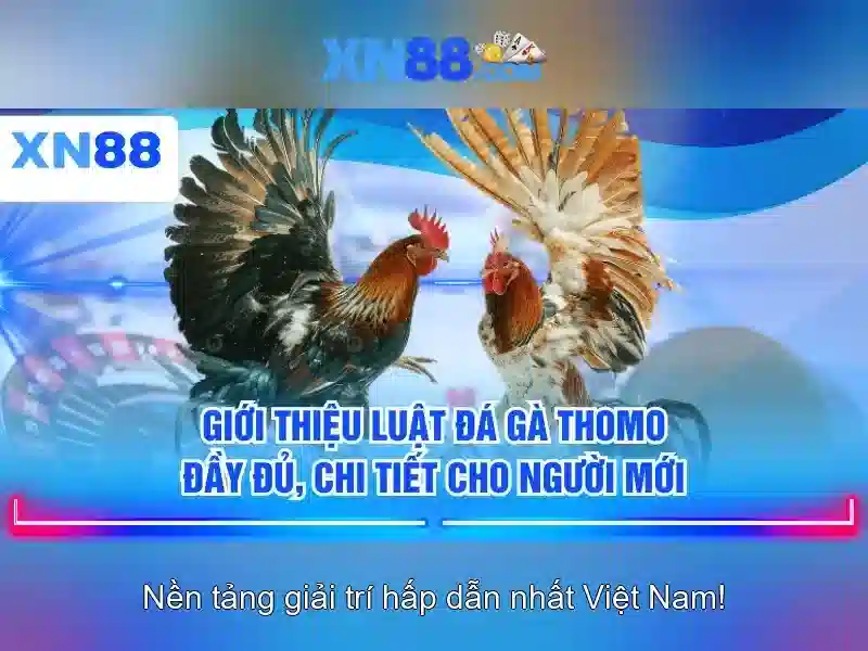Ứng dụng XN88 – Trải Nghiệm Slot Đỉnh Cao
