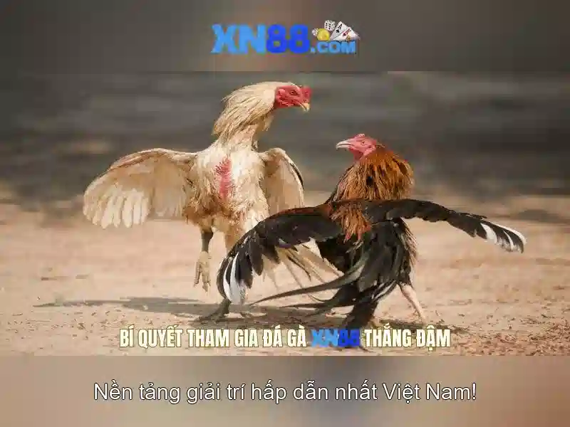 Trải nghiệm slot miễn phí