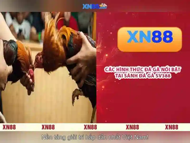 Trải nghiệm cá cược trực tuyến XN88