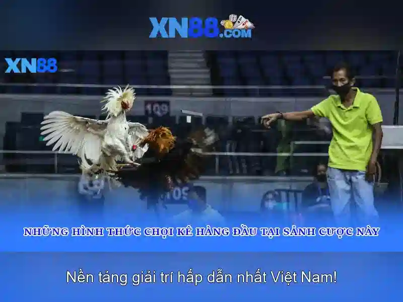 Trải nghiệm casino XN88