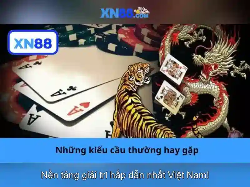 Trải Nghiệm Cá Cược 24/7