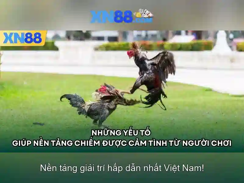 Cách Thức Tham Gia XN88 Casino