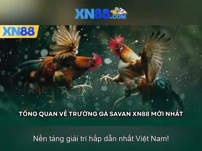 Hướng dẫn trải nghiệm slot