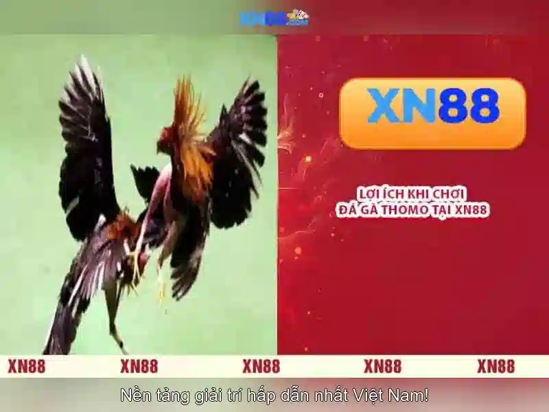 Tính Năng Nổi Bật