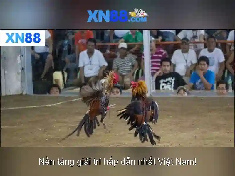 Đăng Nhập Slot